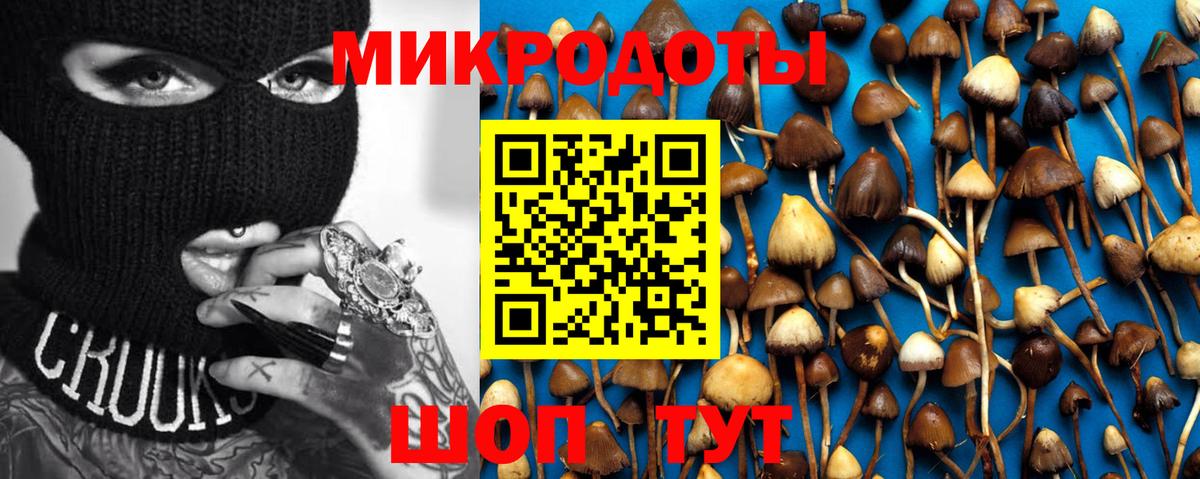Псилоцибиновые грибы мухоморы  Вход с VPN  Александров 