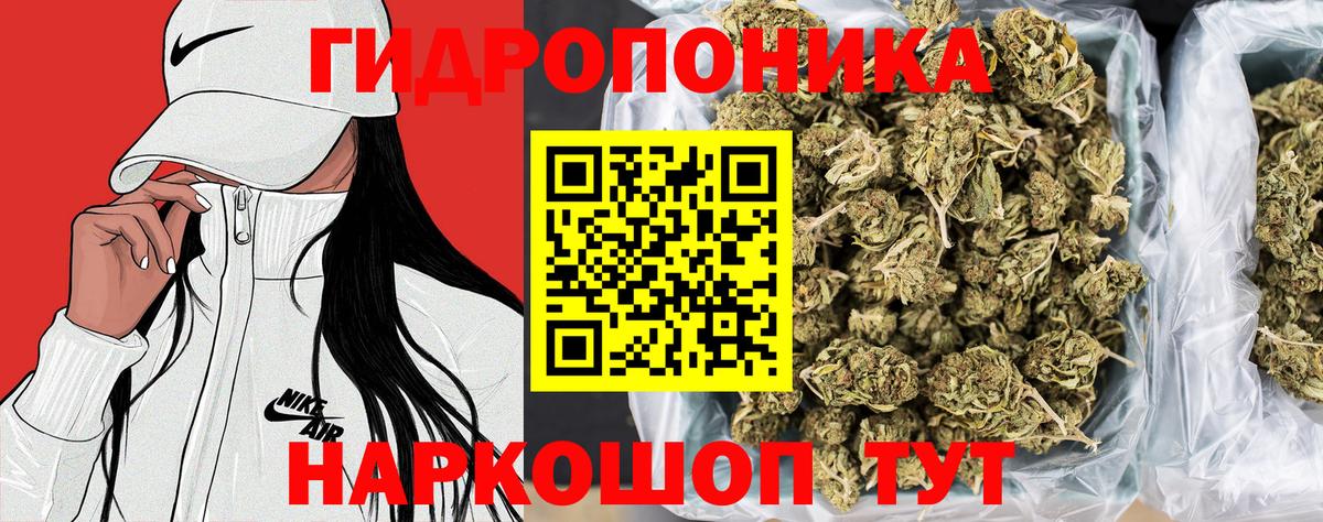 Конопля конопля Александров